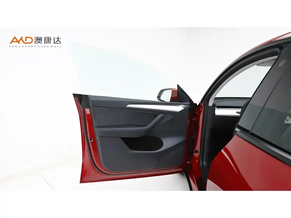 Tesla Model Y 2021 из CN, фото 5
