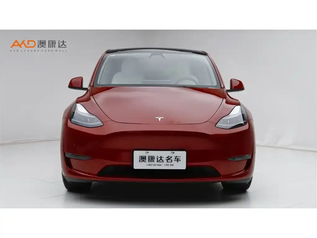 Tesla Model Y 2021 из CN, фото 6