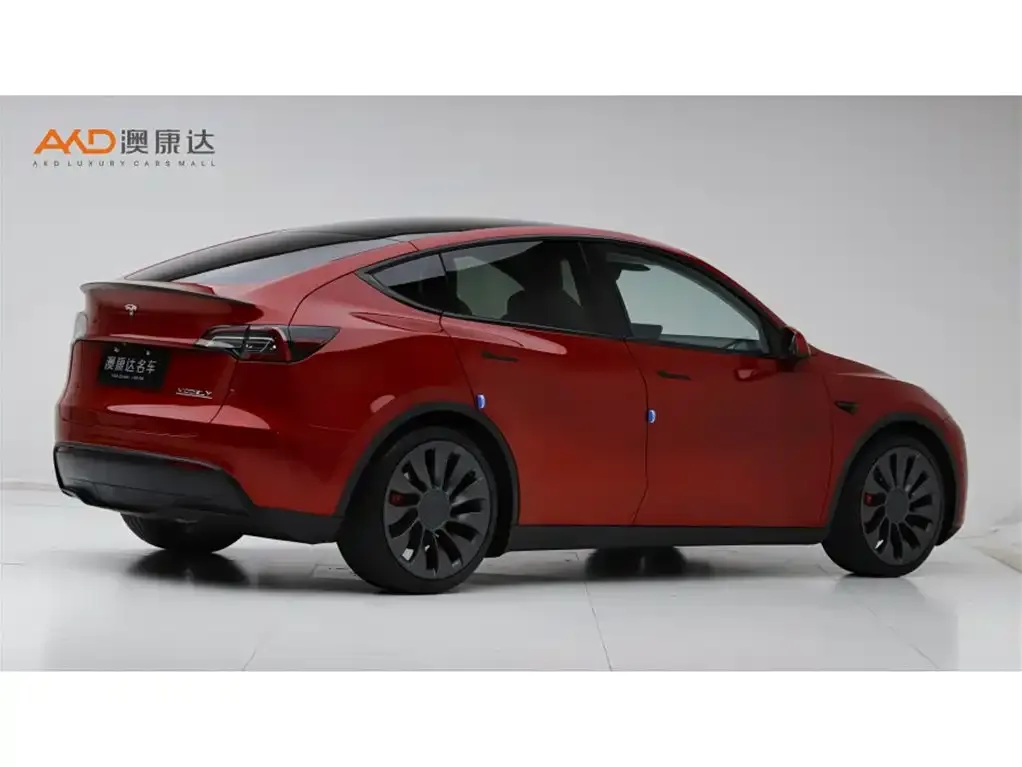 Tesla Model Y 2021 из CN, фото 3