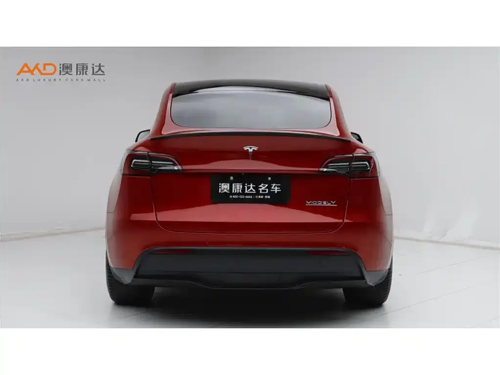 Tesla Model Y 2021 из CN, фото 2