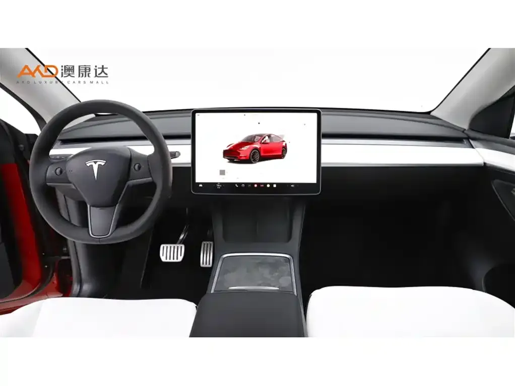 Tesla Model Y 2021 из CN, фото 9