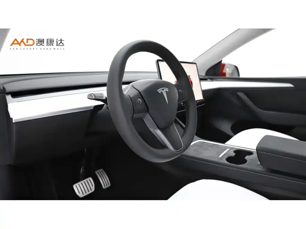 Tesla Model Y 2021 из CN, фото 7