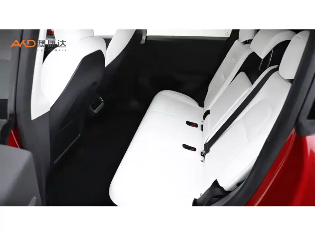 Tesla Model Y 2021 из CN, фото 8