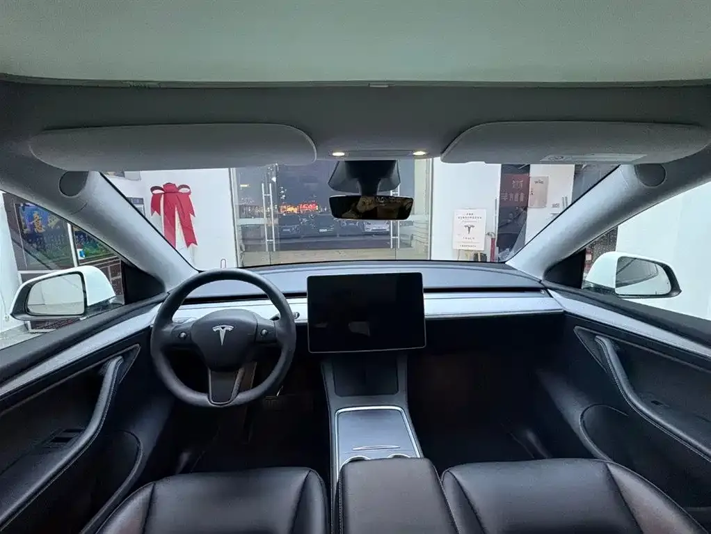 Tesla Model Y — фото 9