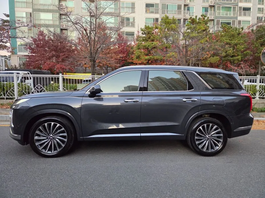 Hyundai Palisade — фото 8