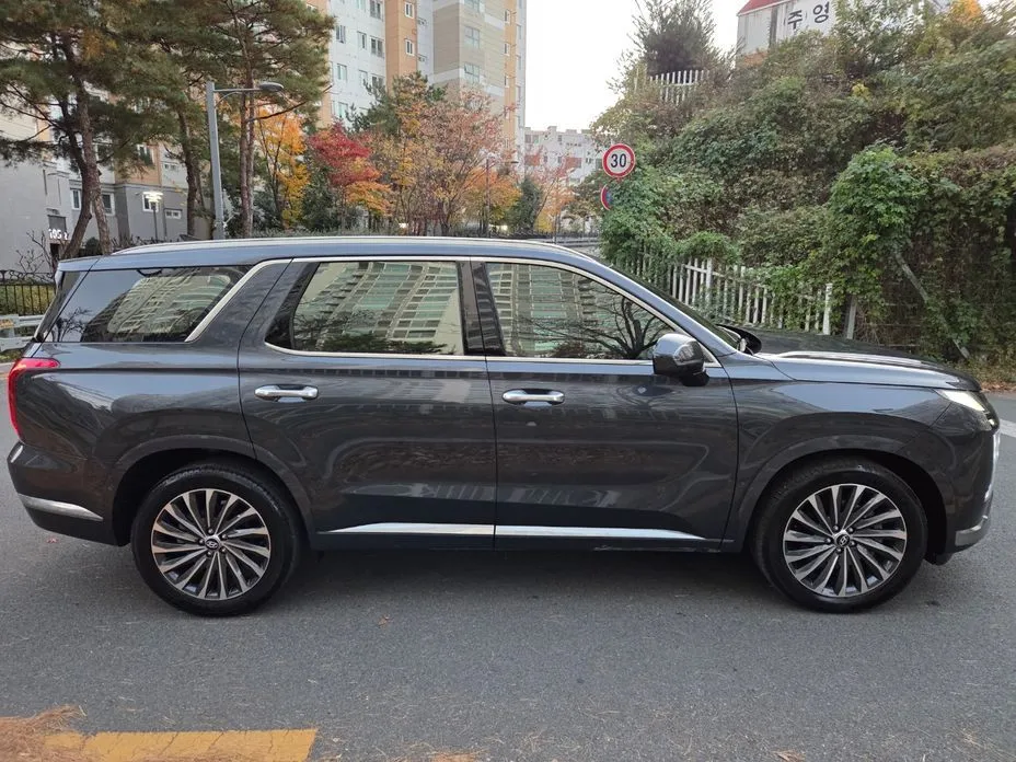 Hyundai Palisade — фото 10