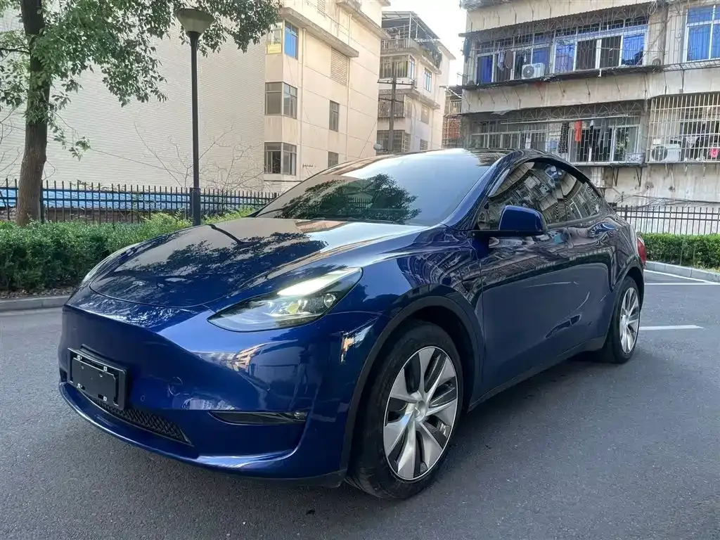 Tesla Model Y 2022 из CN, фото 1