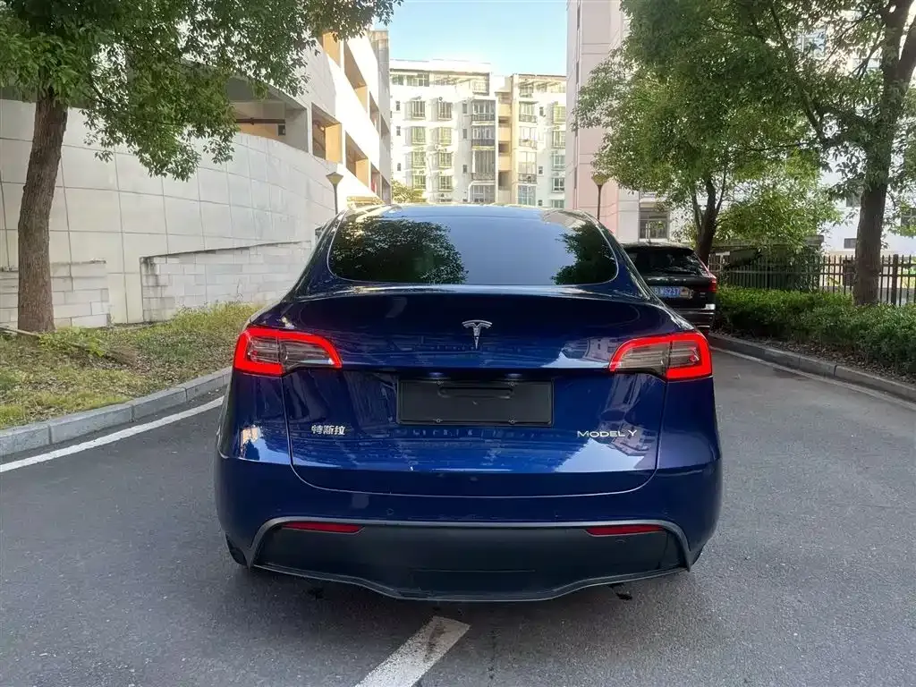 Tesla Model Y 2022 из CN, фото 6