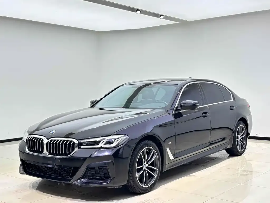 BMW 5 Series 2022 из CN, фото 1