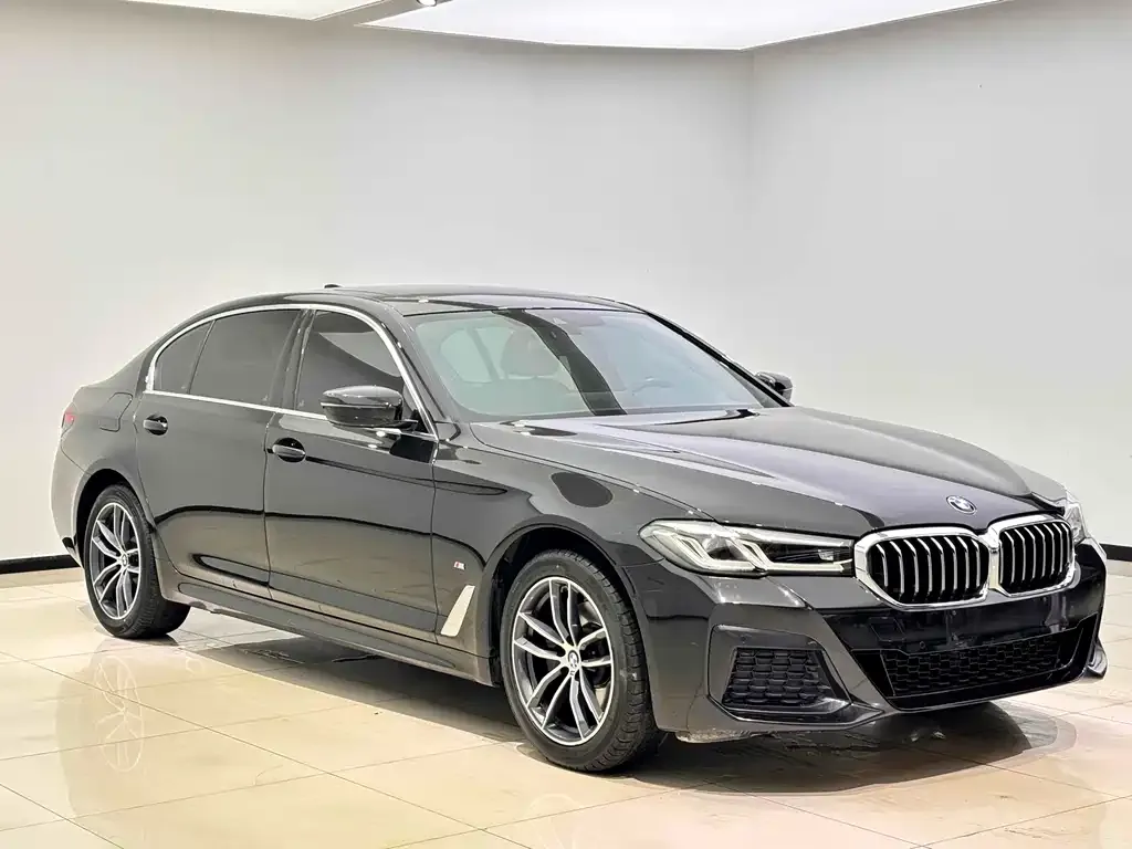 BMW 5 Series 2022 из CN, фото 2