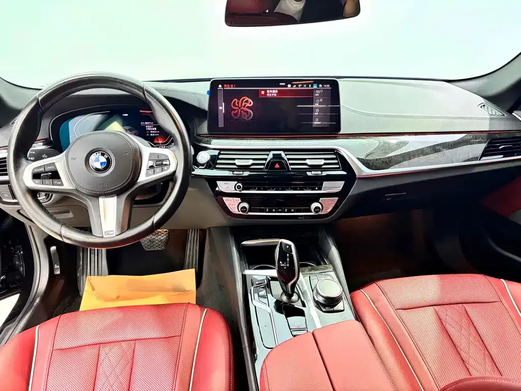 BMW 5 Series 2022 из CN, фото 7