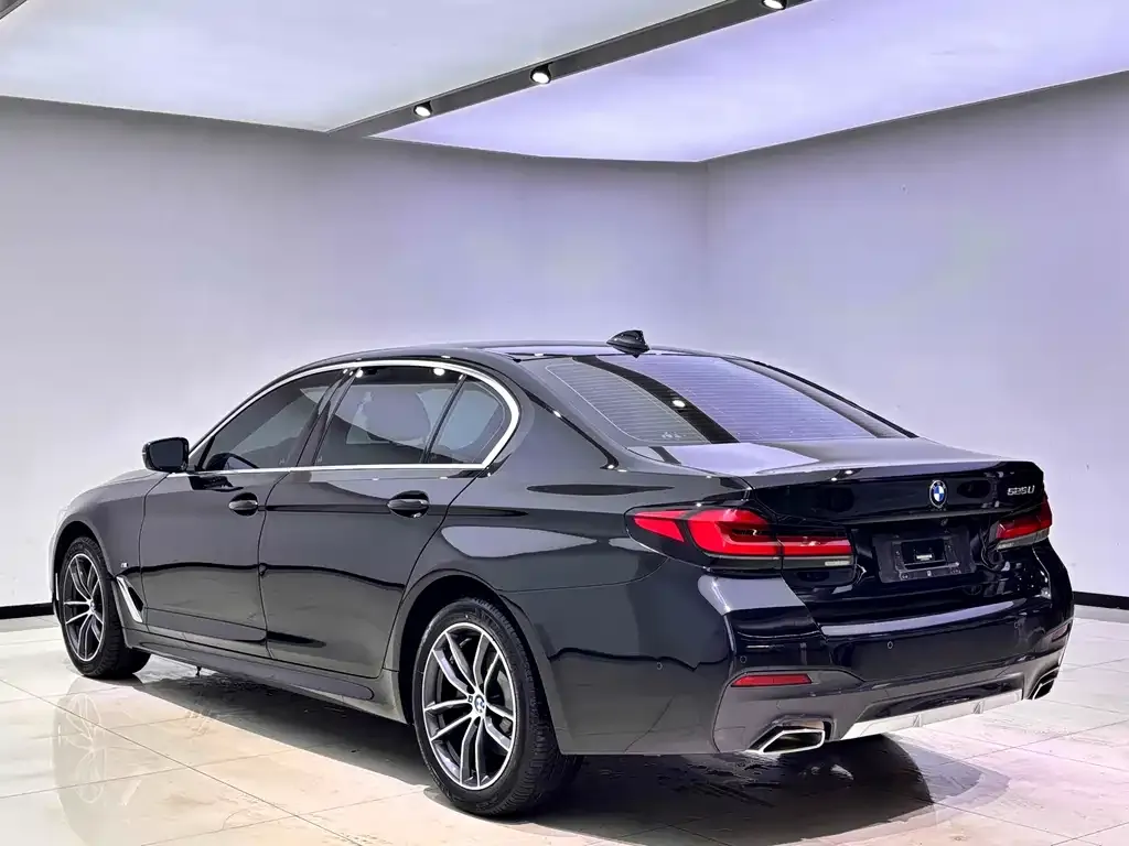 BMW 5 Series 2022 из CN, фото 3