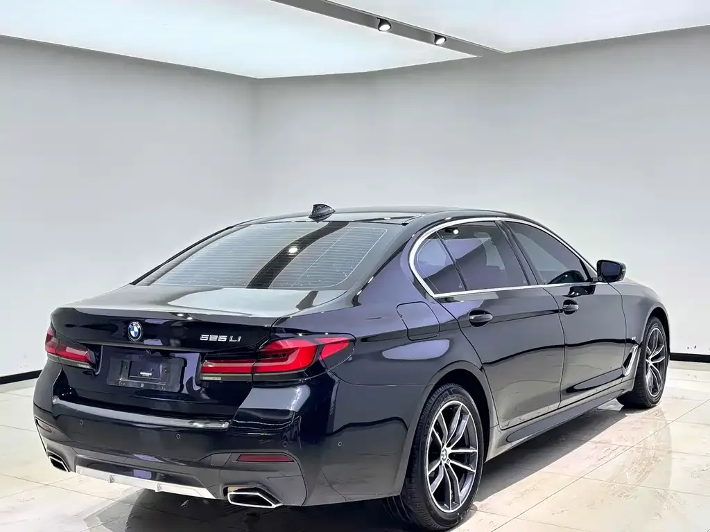 BMW 5 Series 2022 из CN, фото 6