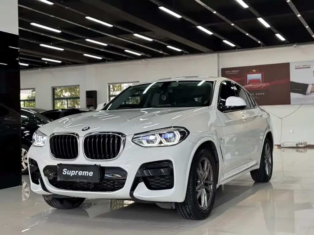 BMW X4 — фото 1