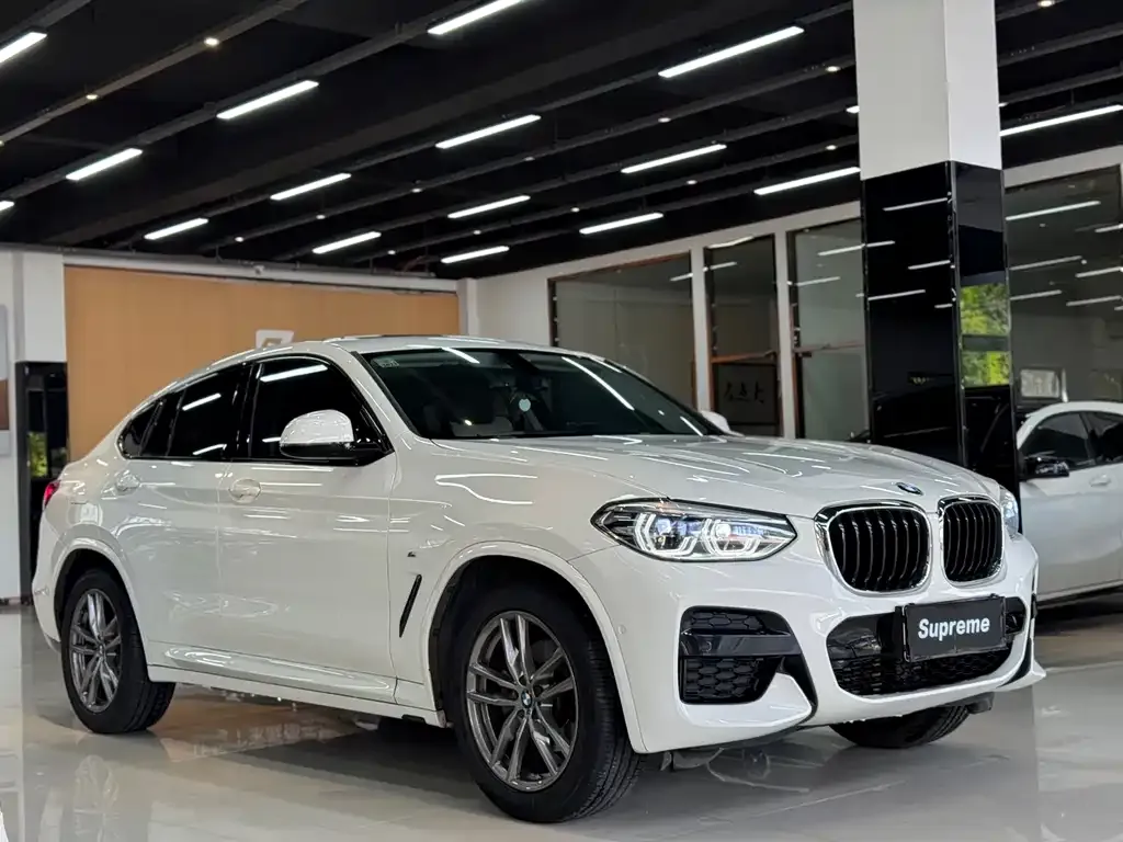 BMW X4 — фото 6