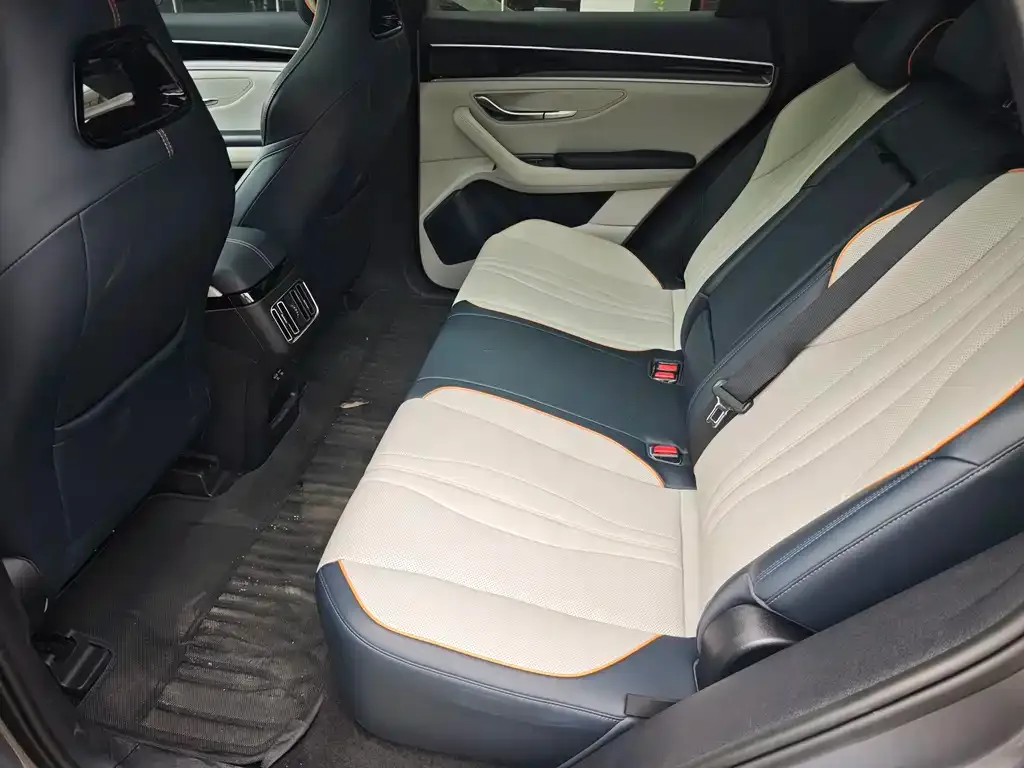 BYD PLUS New Energy 2024 из CN, фото 2