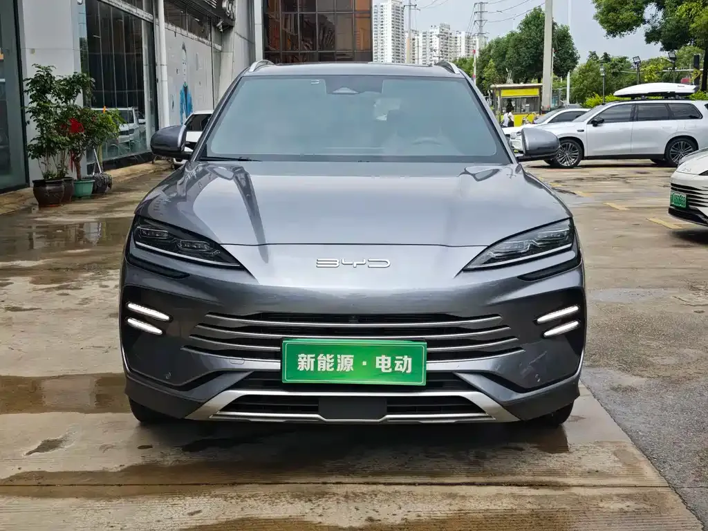 BYD PLUS New Energy 2024 из CN, фото 3