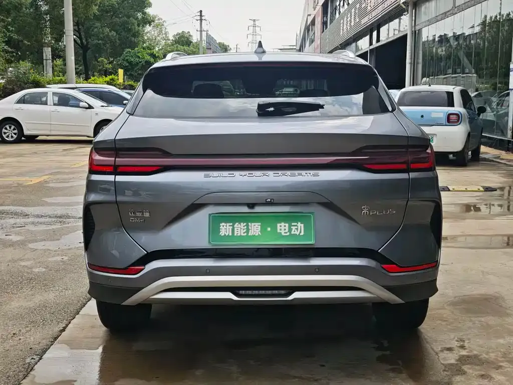 BYD PLUS New Energy 2024 из CN, фото 5