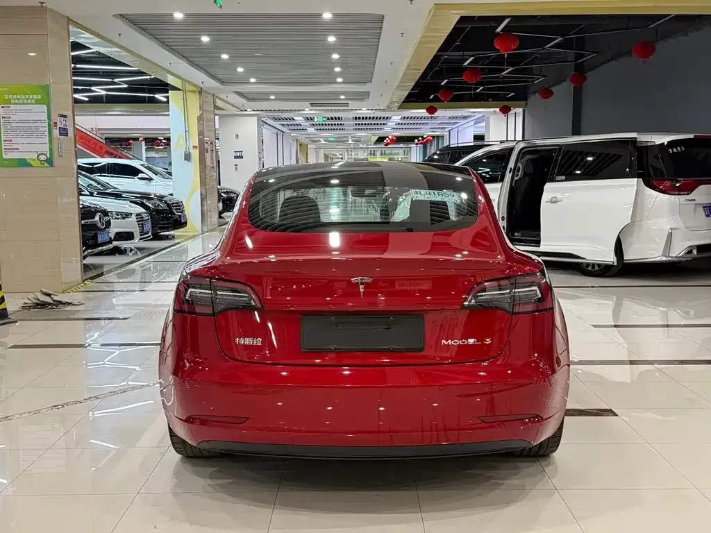 Tesla Model 3 2021 из CN, фото 4