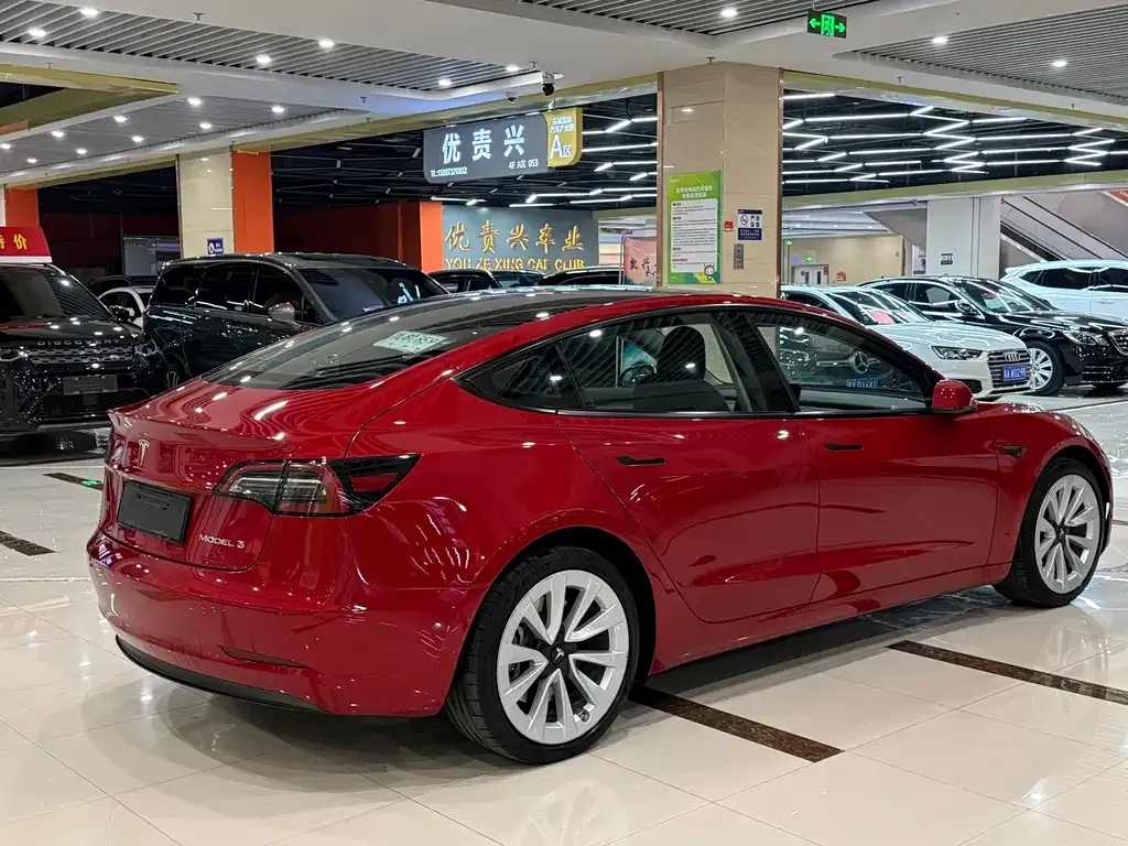 Tesla Model 3 2021 из CN, фото 6