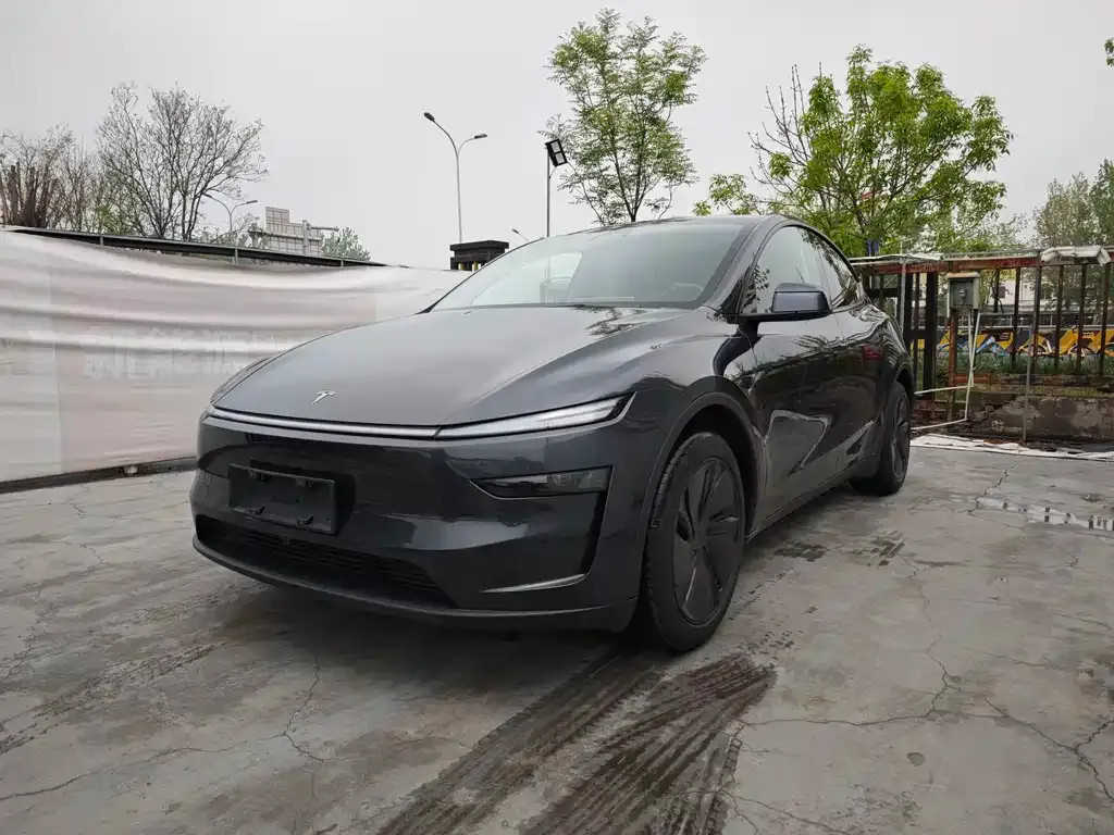 Tesla Model Y 2025 из CN, фото 1