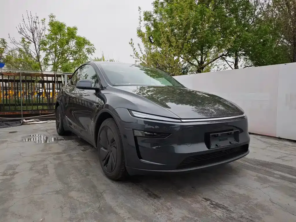 Tesla Model Y 2025 из CN, фото 6