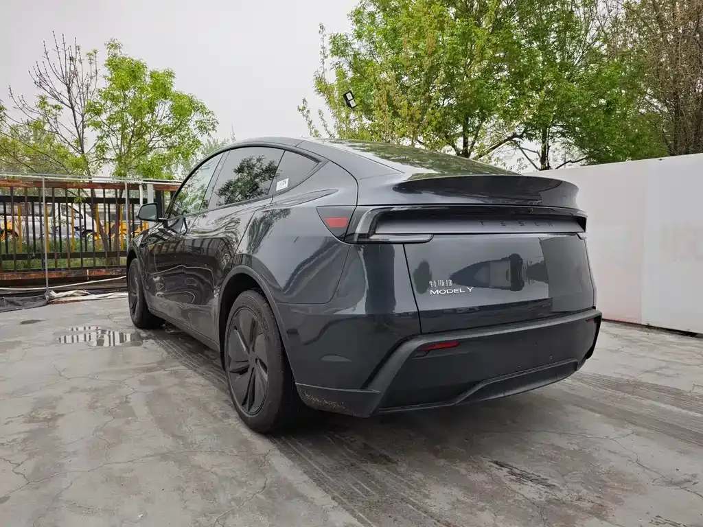 Tesla Model Y 2025 из CN, фото 8