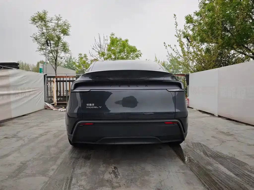 Tesla Model Y 2025 из CN, фото 3