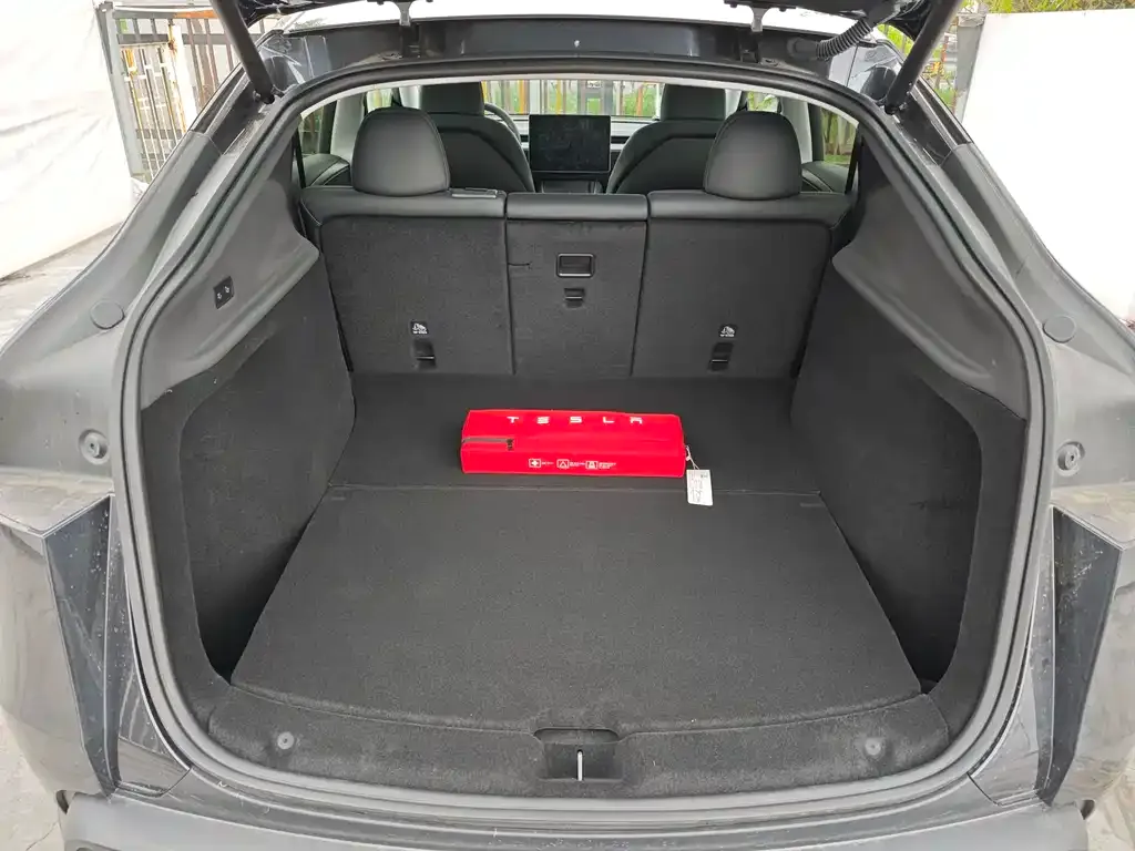 Tesla Model Y 2025 из CN, фото 9