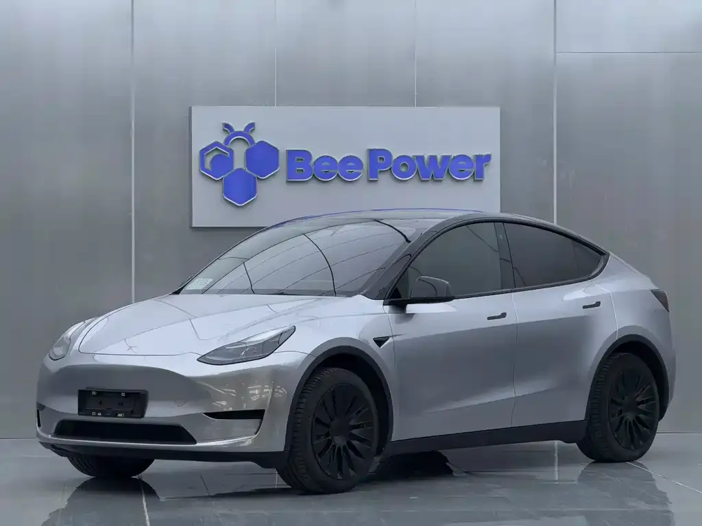 Tesla Model Y 2023 из CN, фото 1