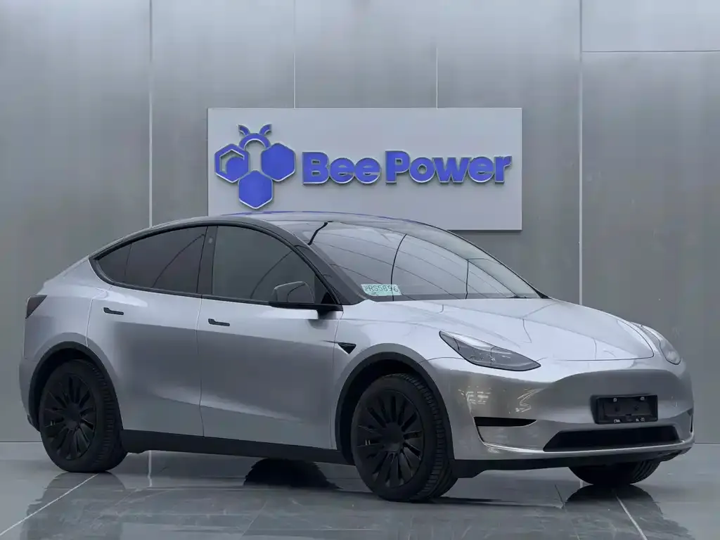 Tesla Model Y 2023 из CN, фото 7