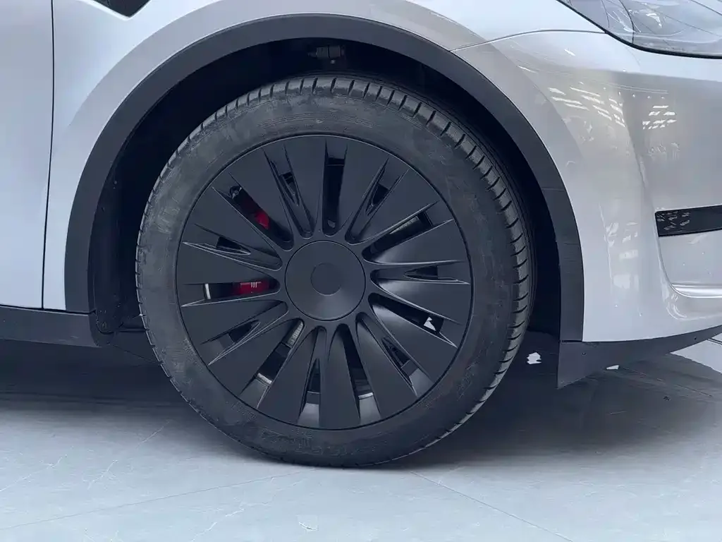 Tesla Model Y 2023 из CN, фото 8