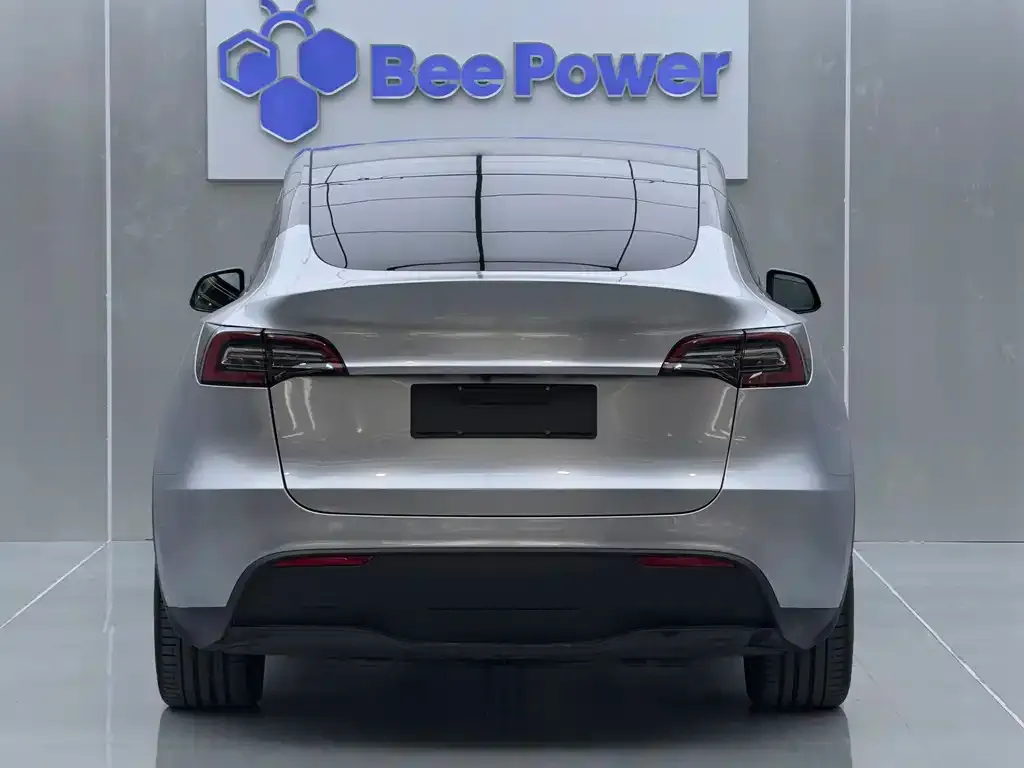 Tesla Model Y 2023 из CN, фото 3