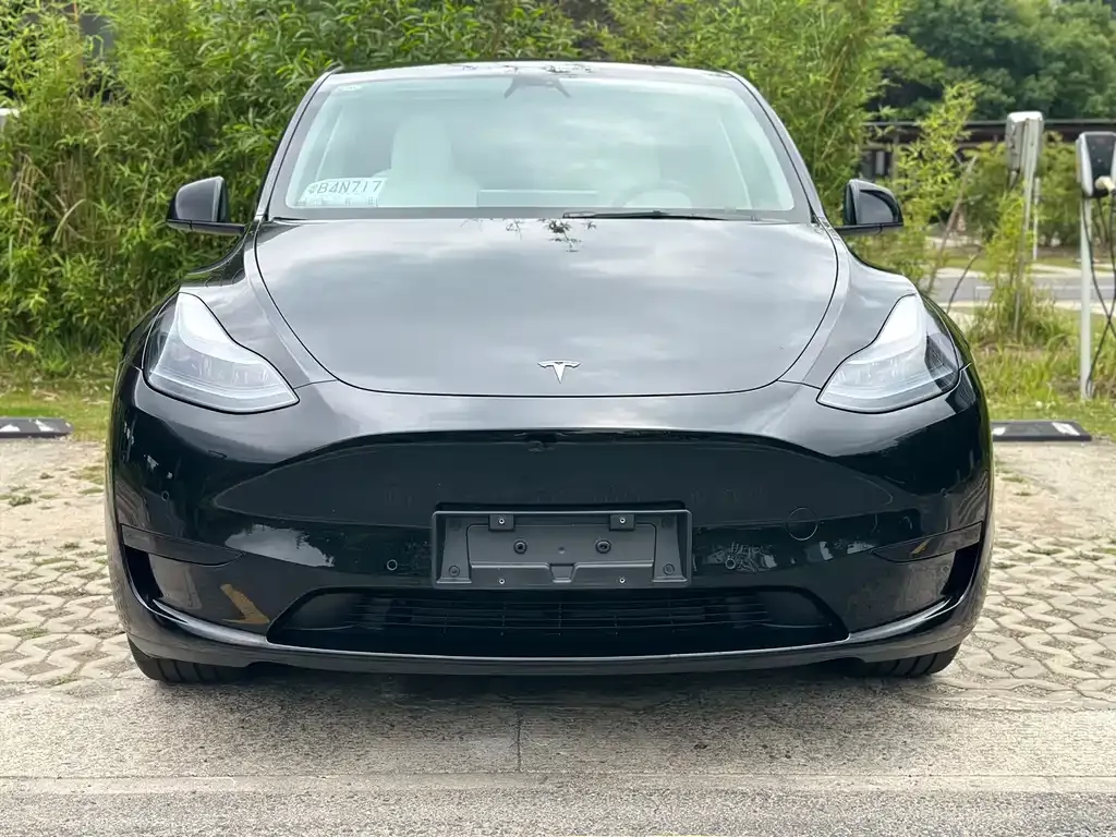 Tesla Model Y — фото 9