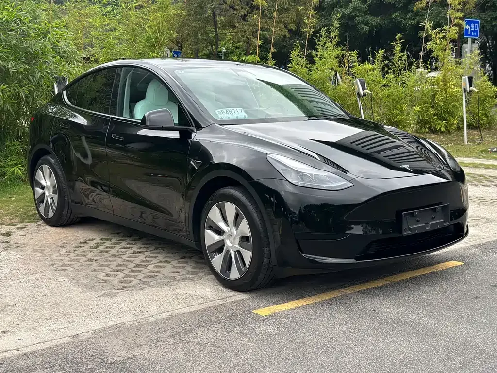 Tesla Model Y — фото 10