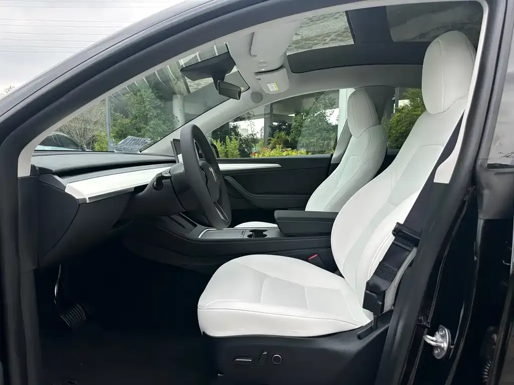 Tesla Model Y — фото 6