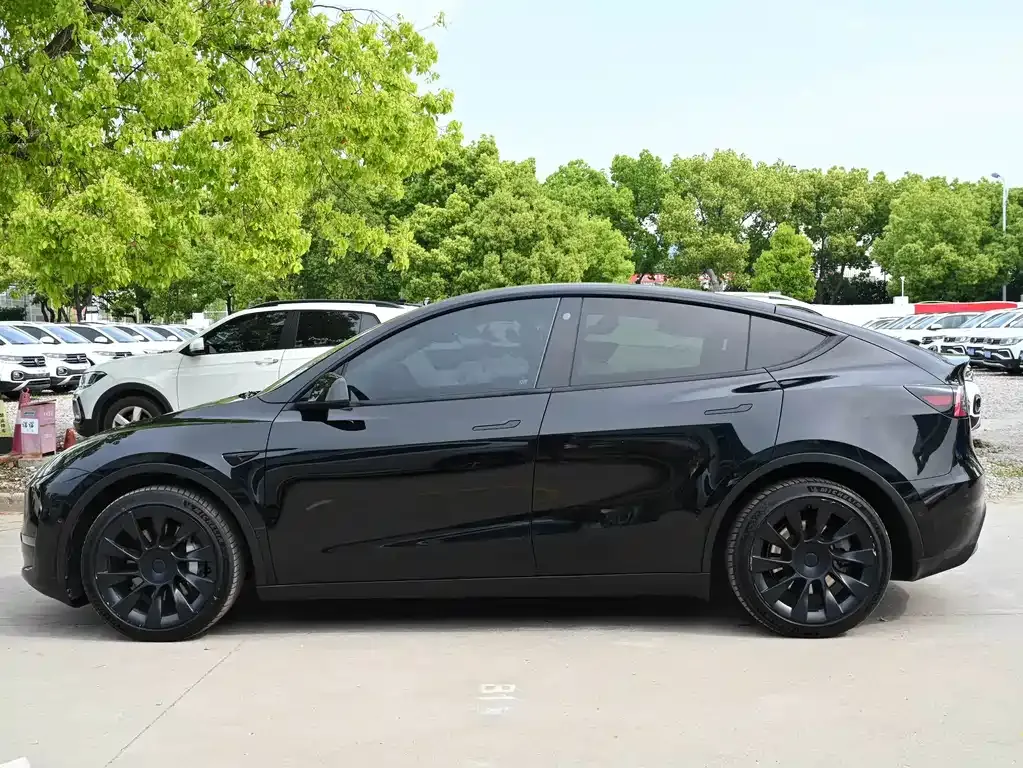 Tesla Model Y — фото 3