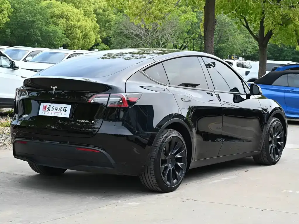 Tesla Model Y — фото 2