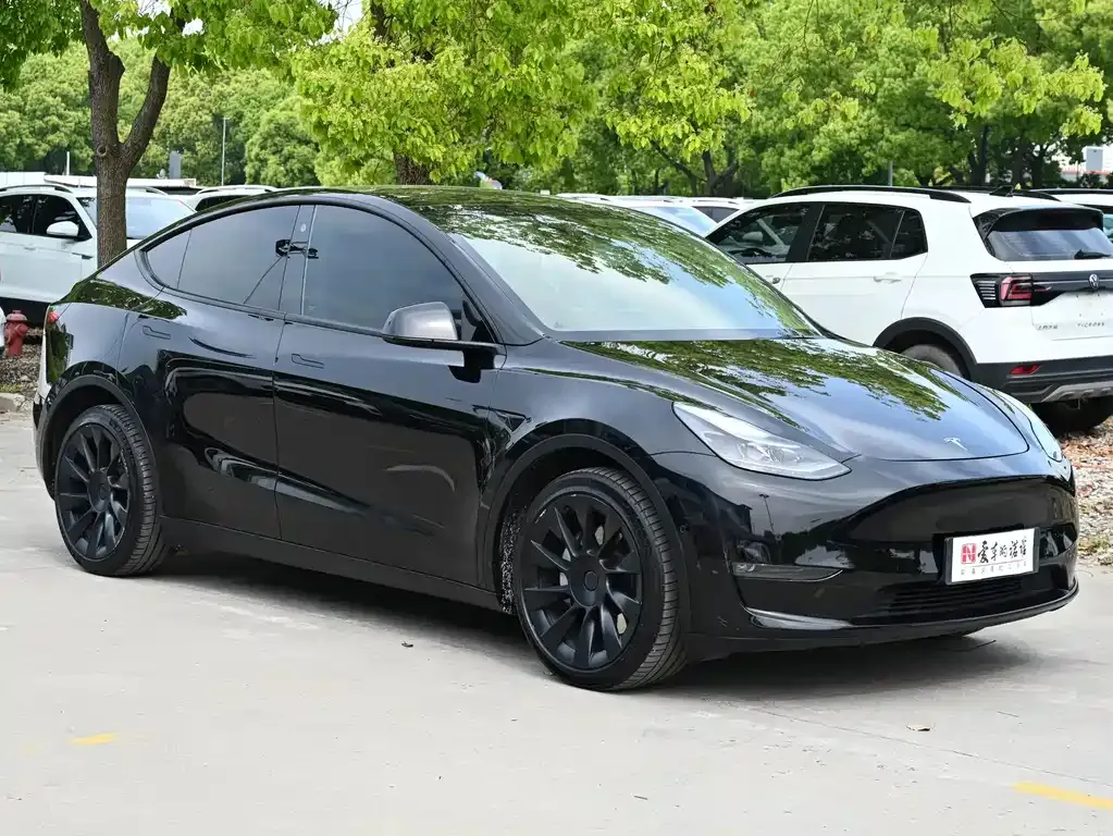 Tesla Model Y — фото 9