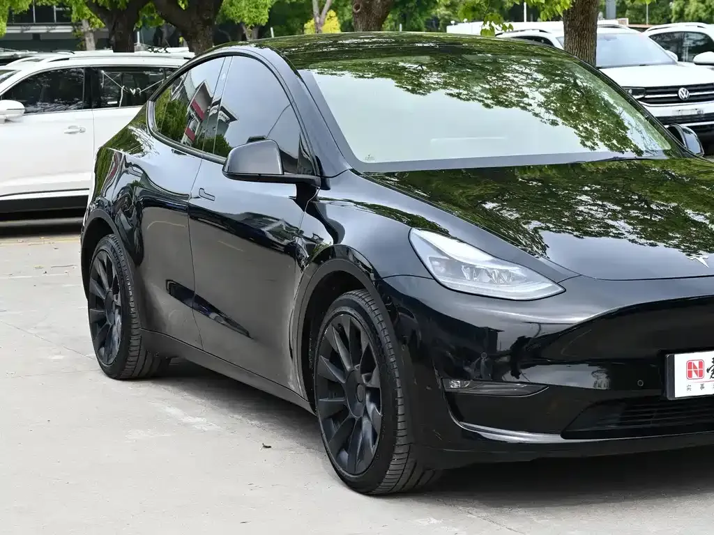 Tesla Model Y — фото 8