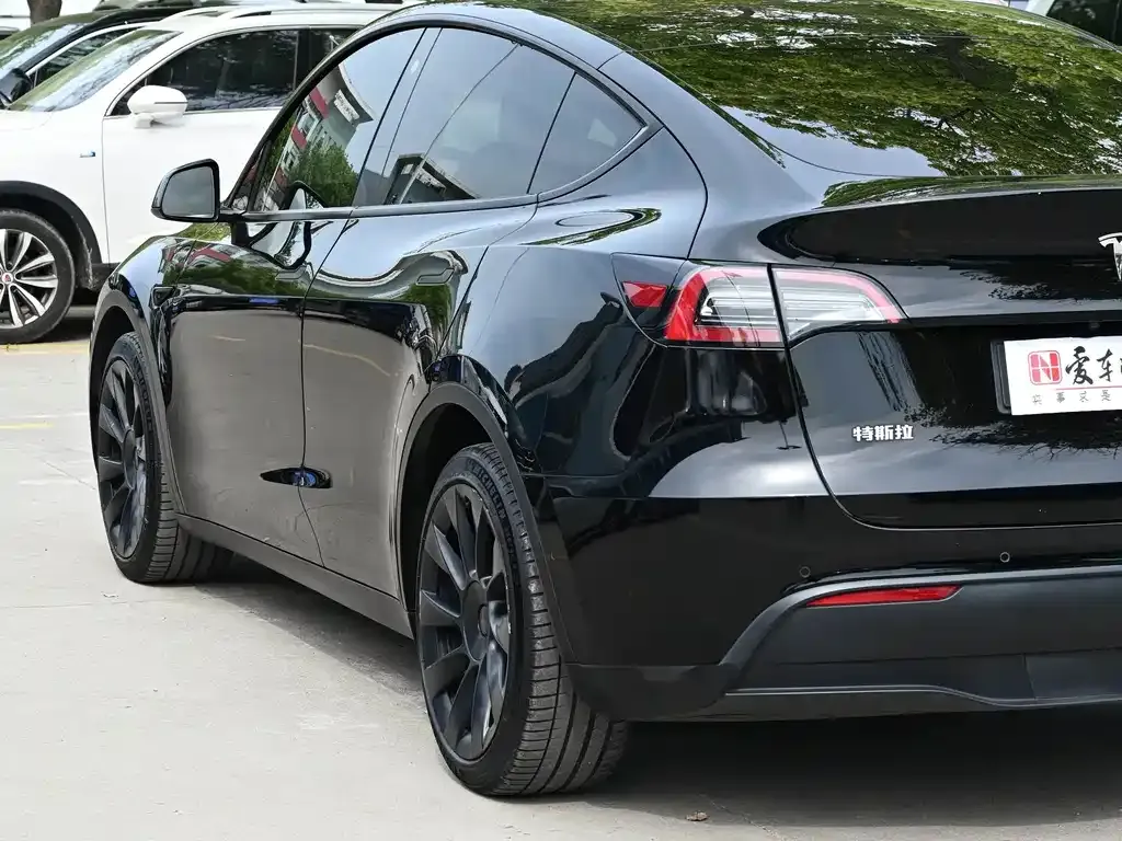 Tesla Model Y — фото 10