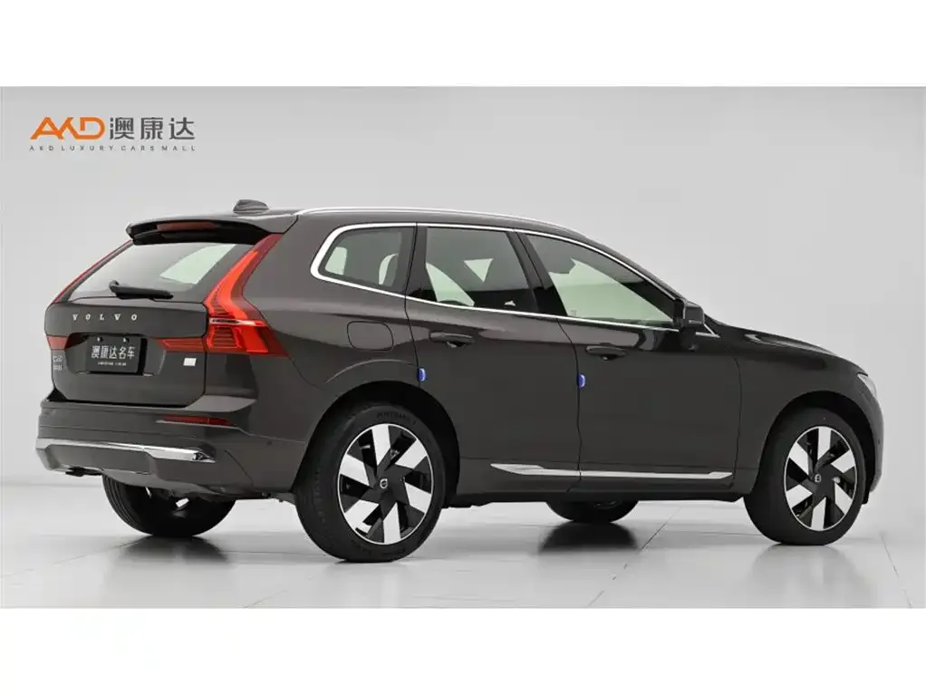 Volvo XC60 PHEV 2023 из CN, фото 10