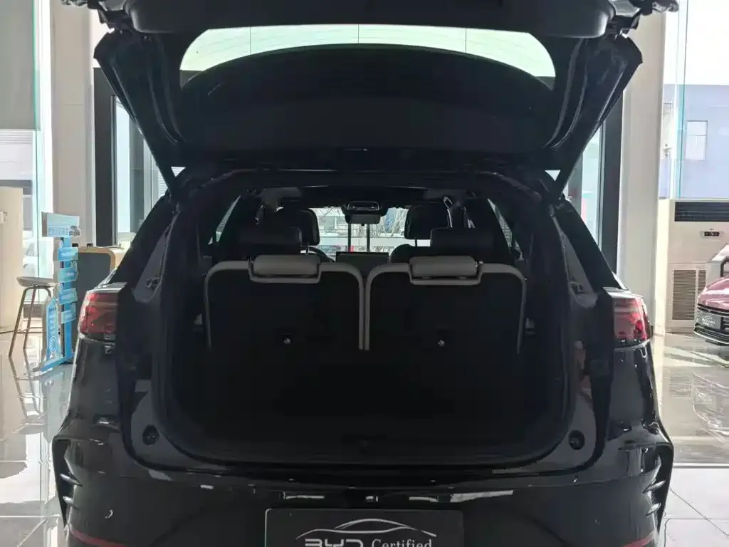 BYD Tang New Energy 2025 из CN, фото 2