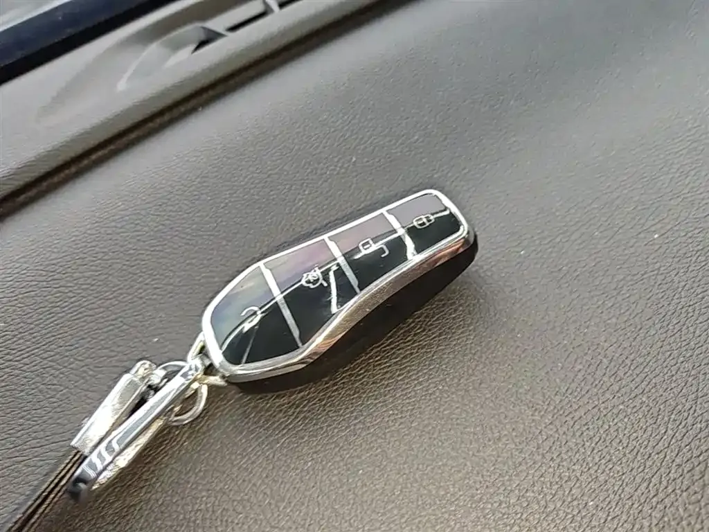 BYD Pro New Energy — фото 9