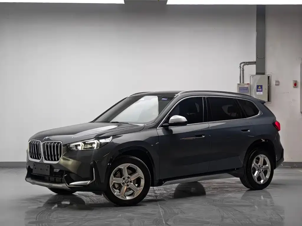 BMW X1 — фото 1