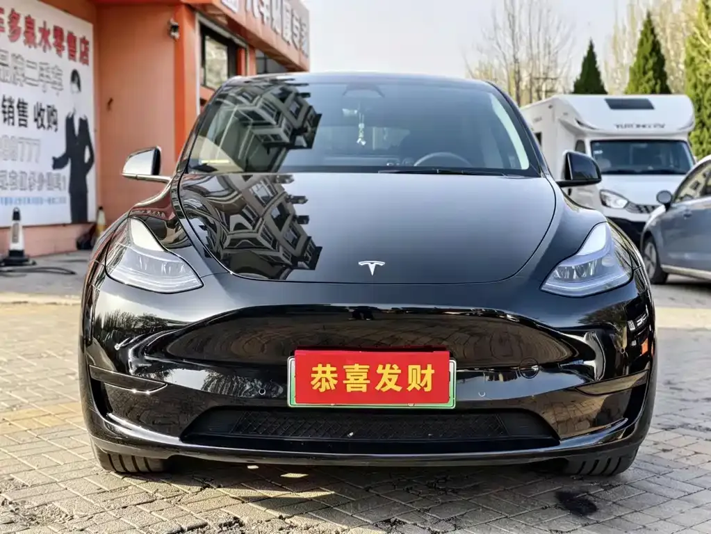 Tesla Model Y — фото 3