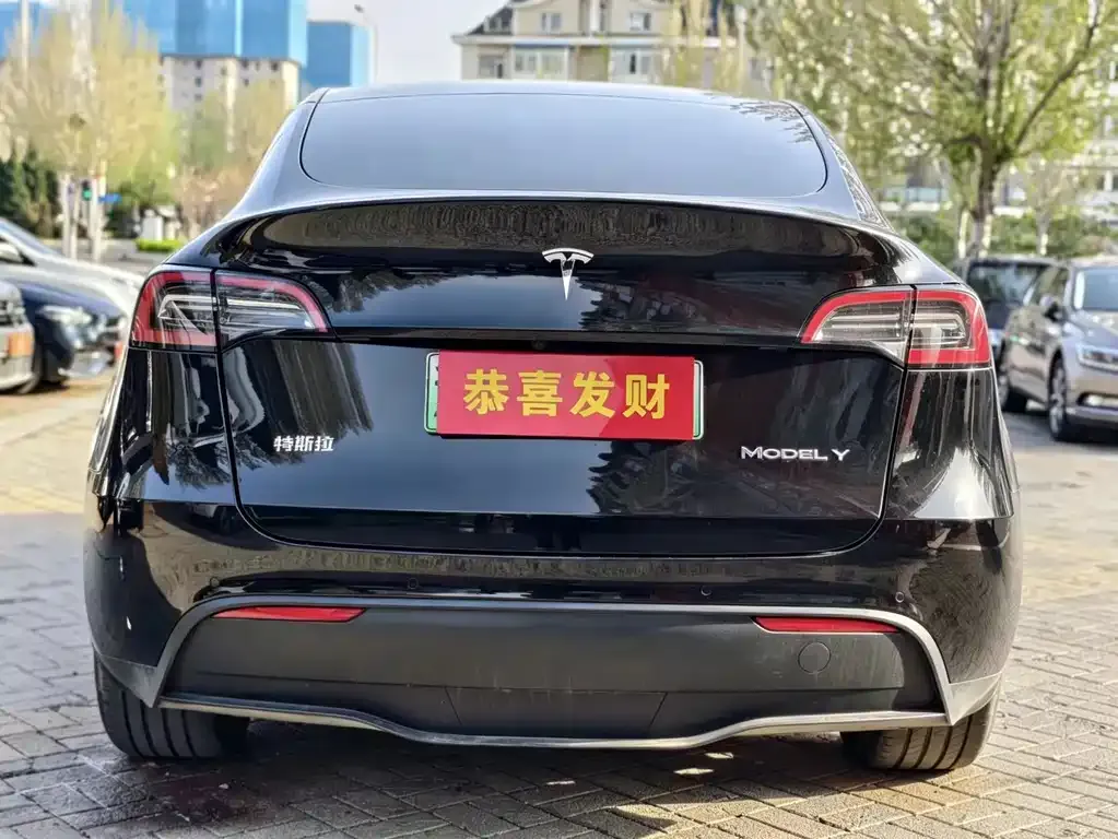 Tesla Model Y — фото 8