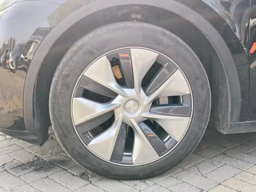 Tesla Model Y — фото 10