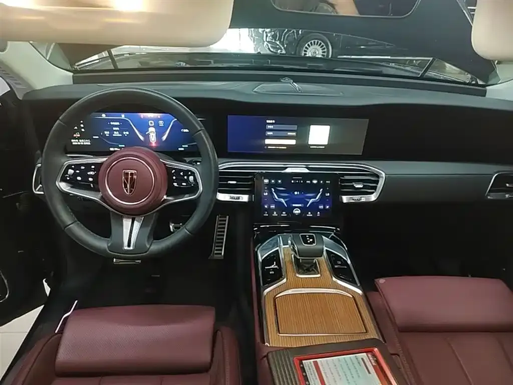 Hongqi E-HS9 2023 из CN, фото 8