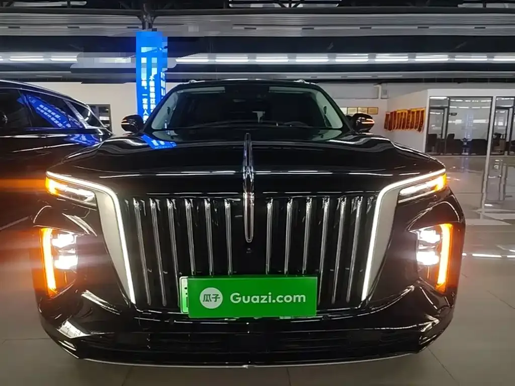 Hongqi E-HS9 2023 из CN, фото 10